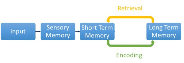 Encoding and retrieval loop within the Levels of Processing Model