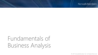 Fundamentals Of Business Analysis
