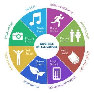 learning theories - multiple intelligence spectrum