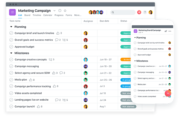 Tool for Learning and Development Managers - Asana