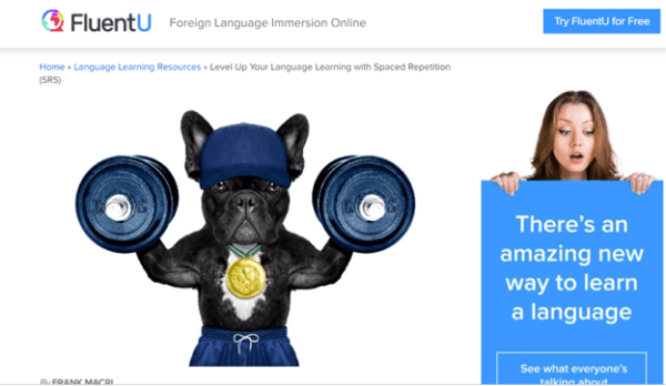 Spaced Repetition Website - FluentU