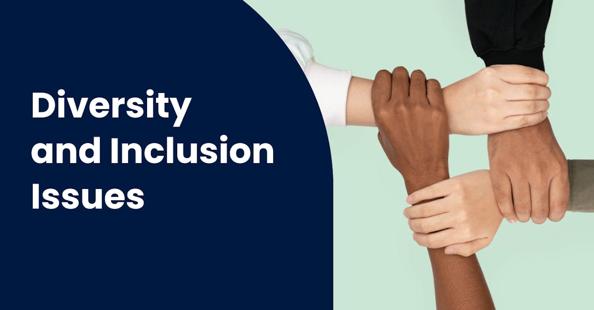 Diversity and Inclusion Issues