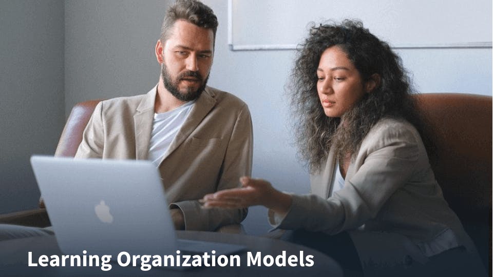 Learning Organization Models