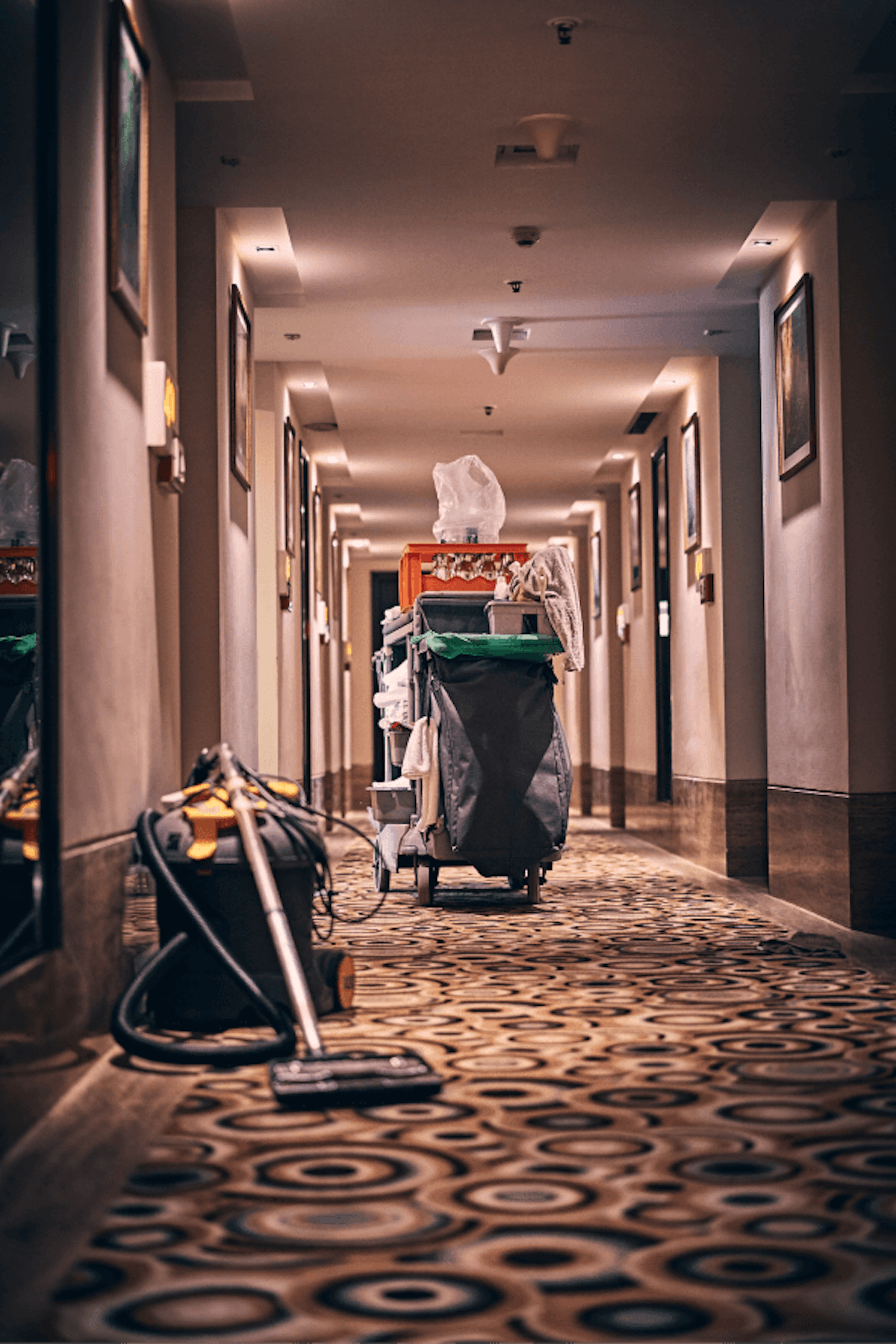 Hard Skills Examples - Cleaning and Sanitizing in Hospitality