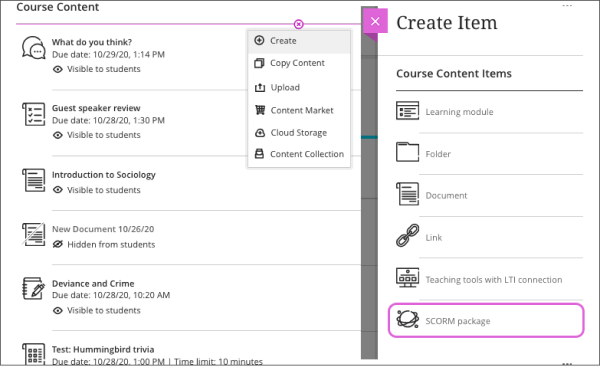 SCORM Player - Blackboard