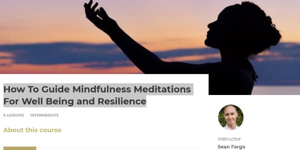 Top 10 Mindfulness Online Training Courses-How To Guide Mindfulness Meditations For Well Being and Resilience