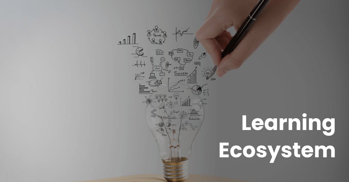 Learning Ecosystem