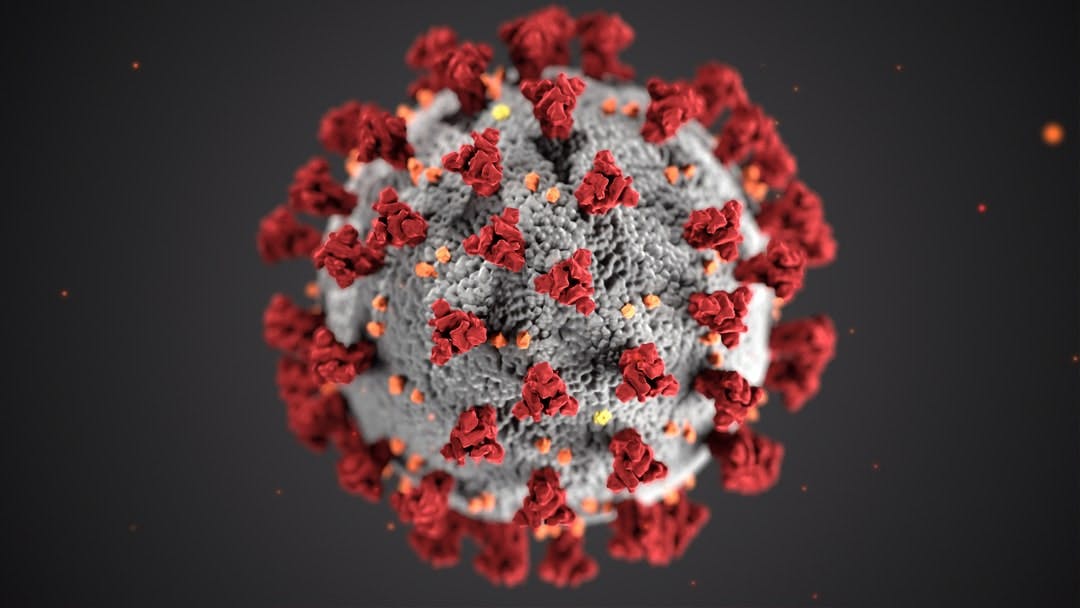 This illustration created at the Centers for Disease Control and Prevention CDC reveals ultrastructural morphology exhibited by coronaviruses Note the spikes that adorn the outer surface of the virus which impart the look of a corona surrounding the virion when viewed electron microscopically A novel coronavirus named Severe Acute Respiratory Syndrome coronavirus 2 SARSCoV2 was identified as the cause of an outbreak of respiratory illness first detected in Wuhan China in 2019 The illness caused by this virus has been named coronavirus disease 2019 COVID19