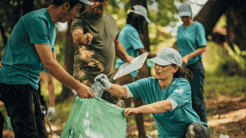 10 Free online environmental courses with certificates | SC Training