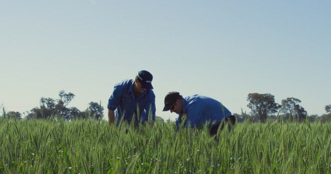 Working in heat - Why is working in heat dangerous?