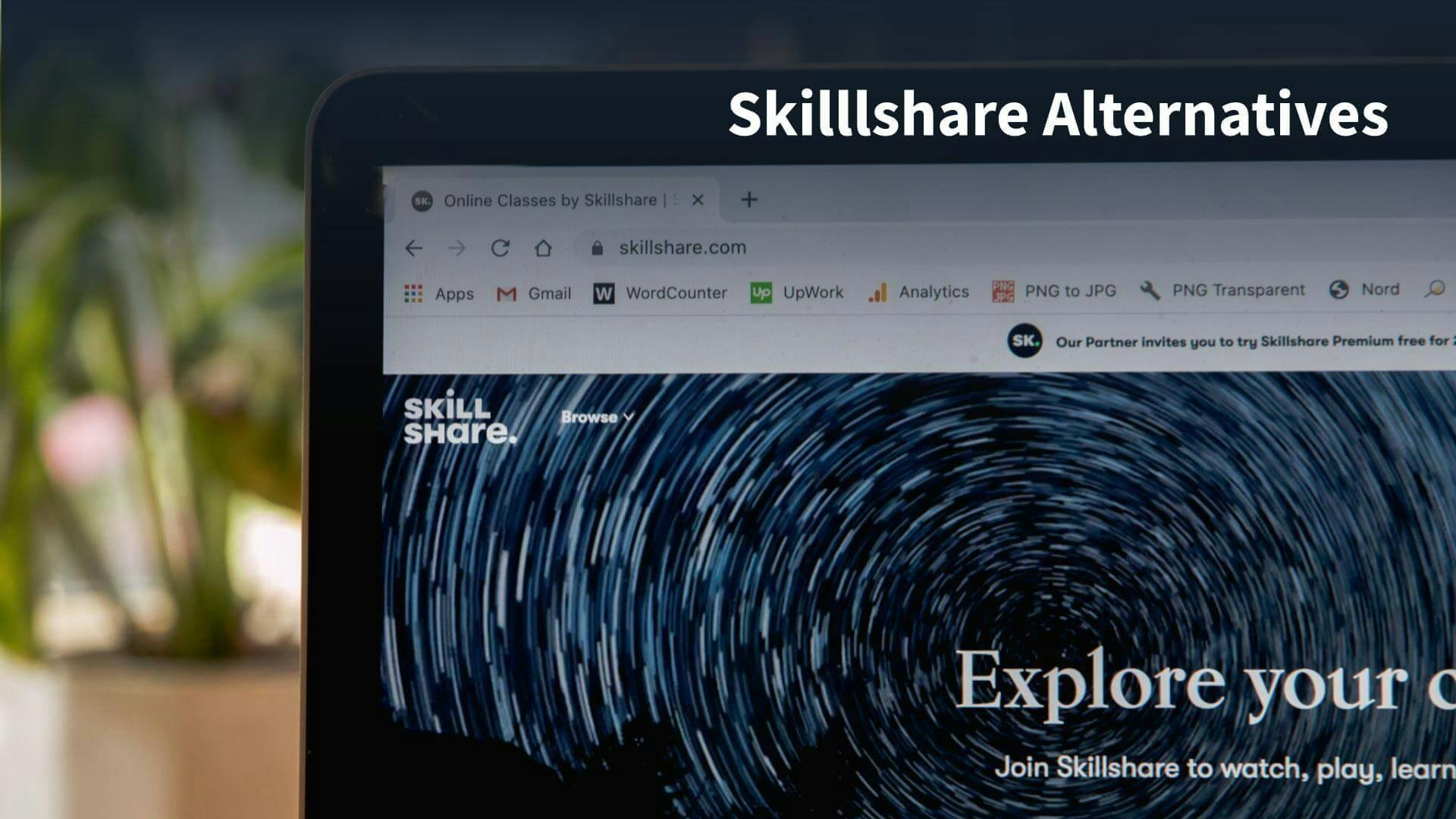 10 Skillshare Alternatives