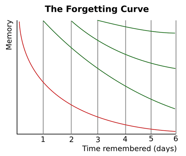 Your Ultimate Guide To The Ebbinghaus Forgetting Curve | SC Training