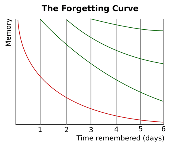 Ebbinghaus Forgetting Curve - Graph