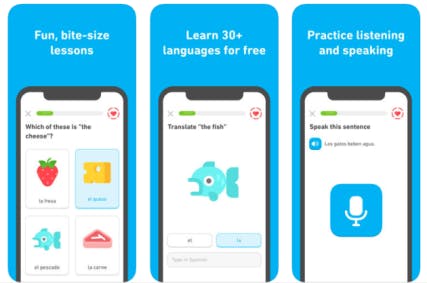 Free Online Learning App - Duolingo