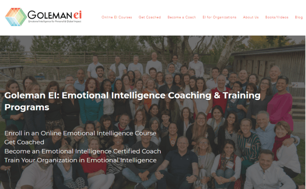 Emotional Intelligence Practitioner - Leading with Emotional Intelligence by Goleman El