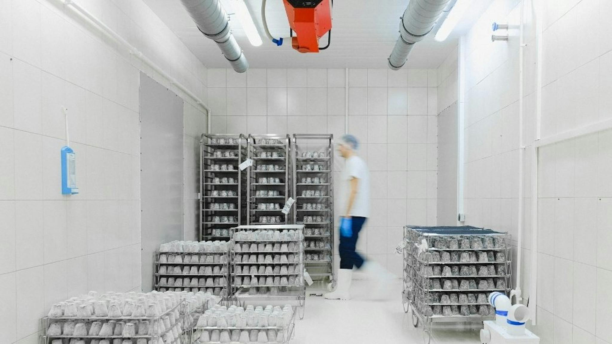 Online cold storage training