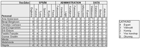 Competency Matrix Example