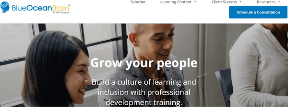 elearning development companies - blue ocean brain