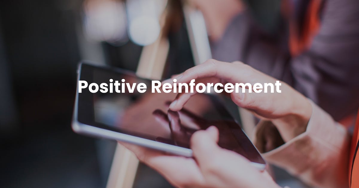 What is positive reinforcement