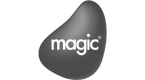 Magic Software Logo