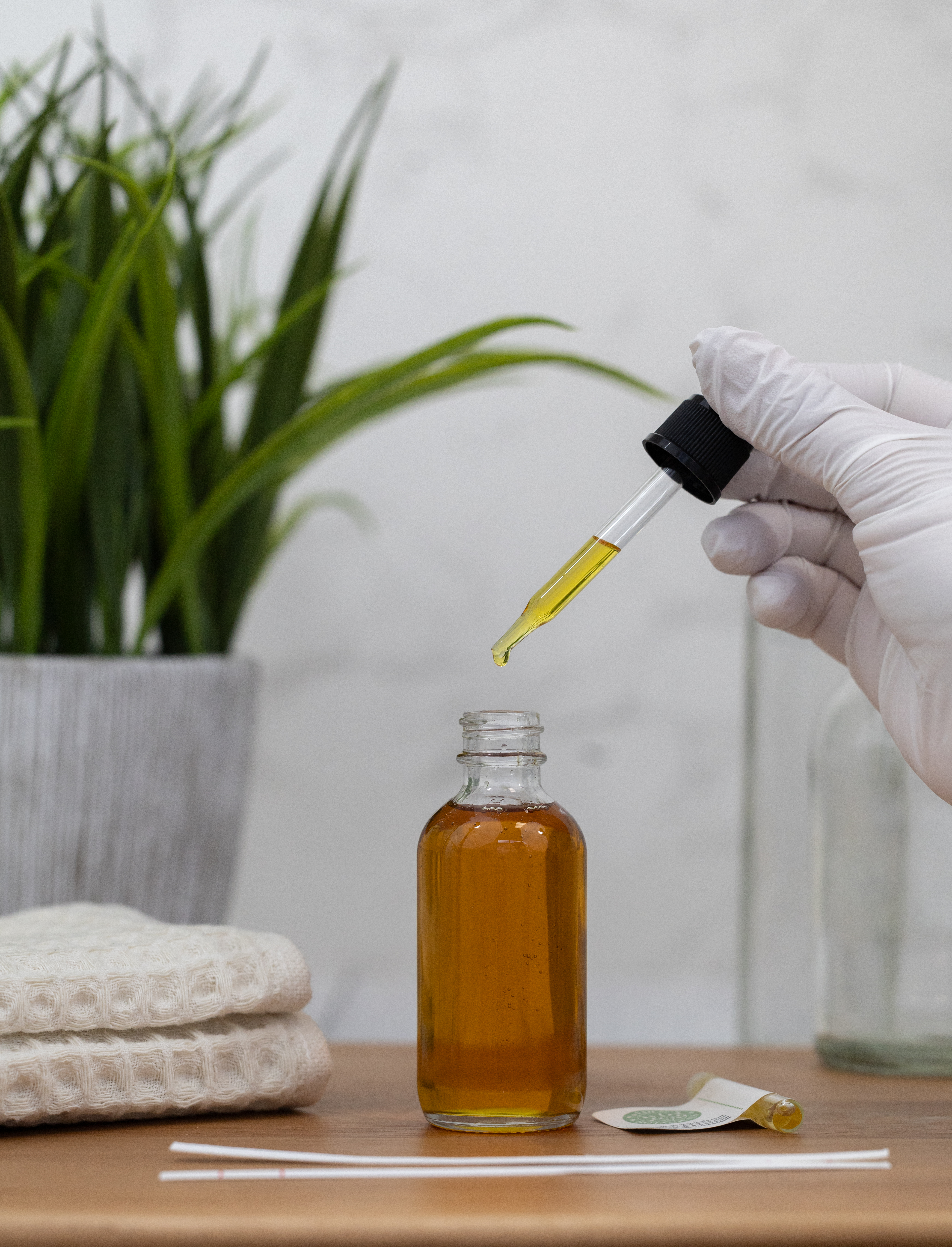 Jasmine Sambac Absolute - 10% | Eden Botanicals