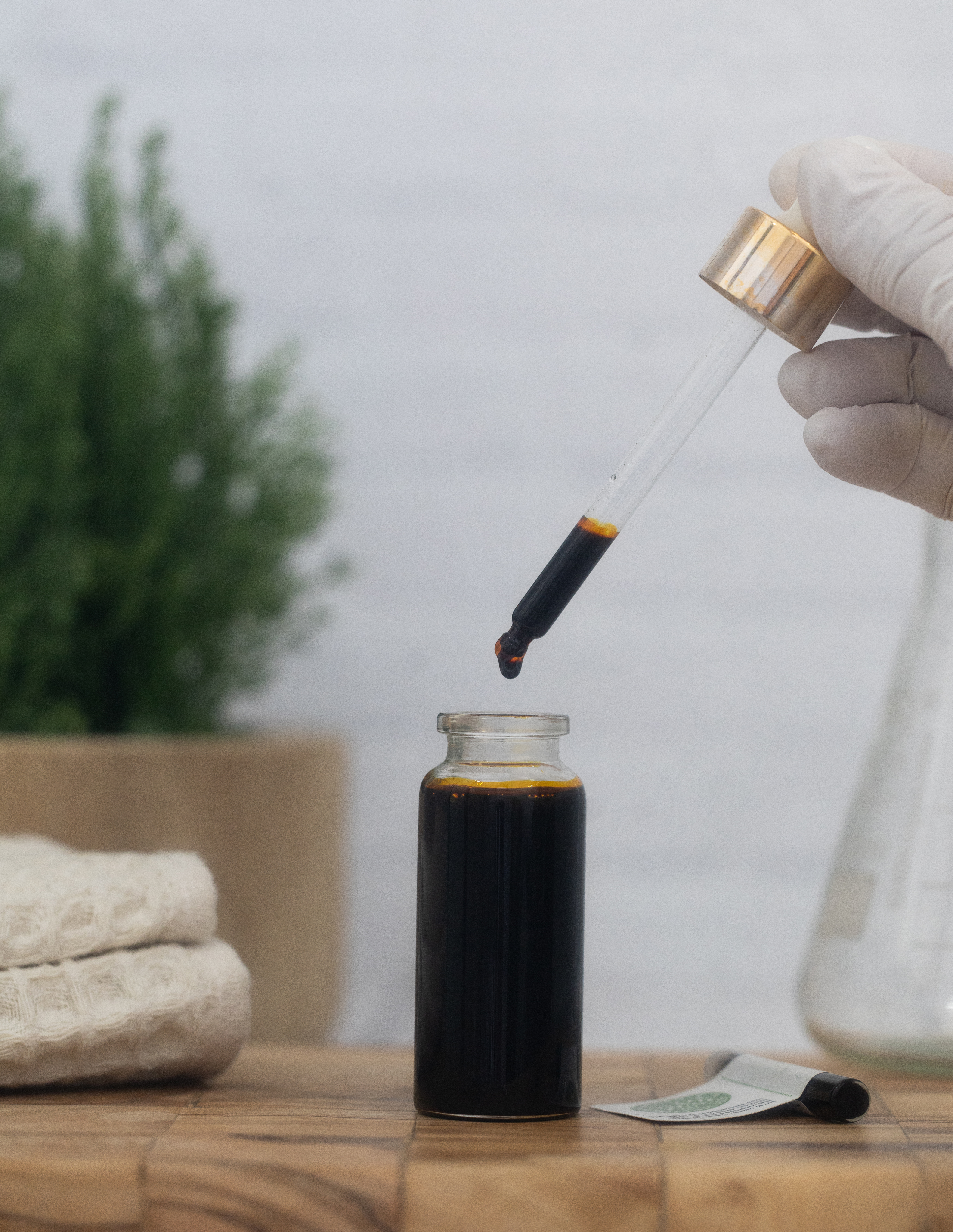 Lotus Absolute, Pink | Eden Botanicals