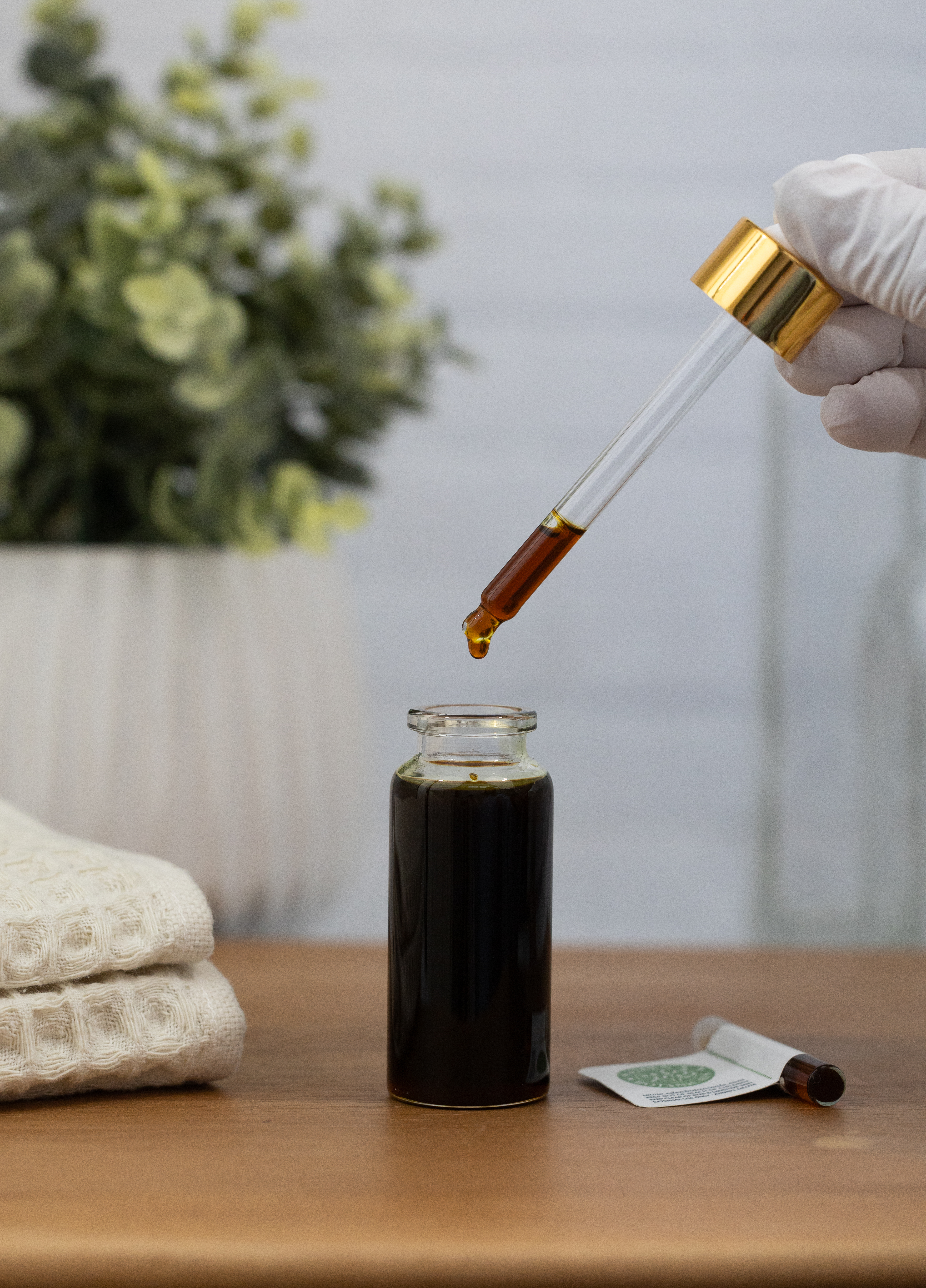 Jasmine Absolute, Egypt | Eden Botanicals