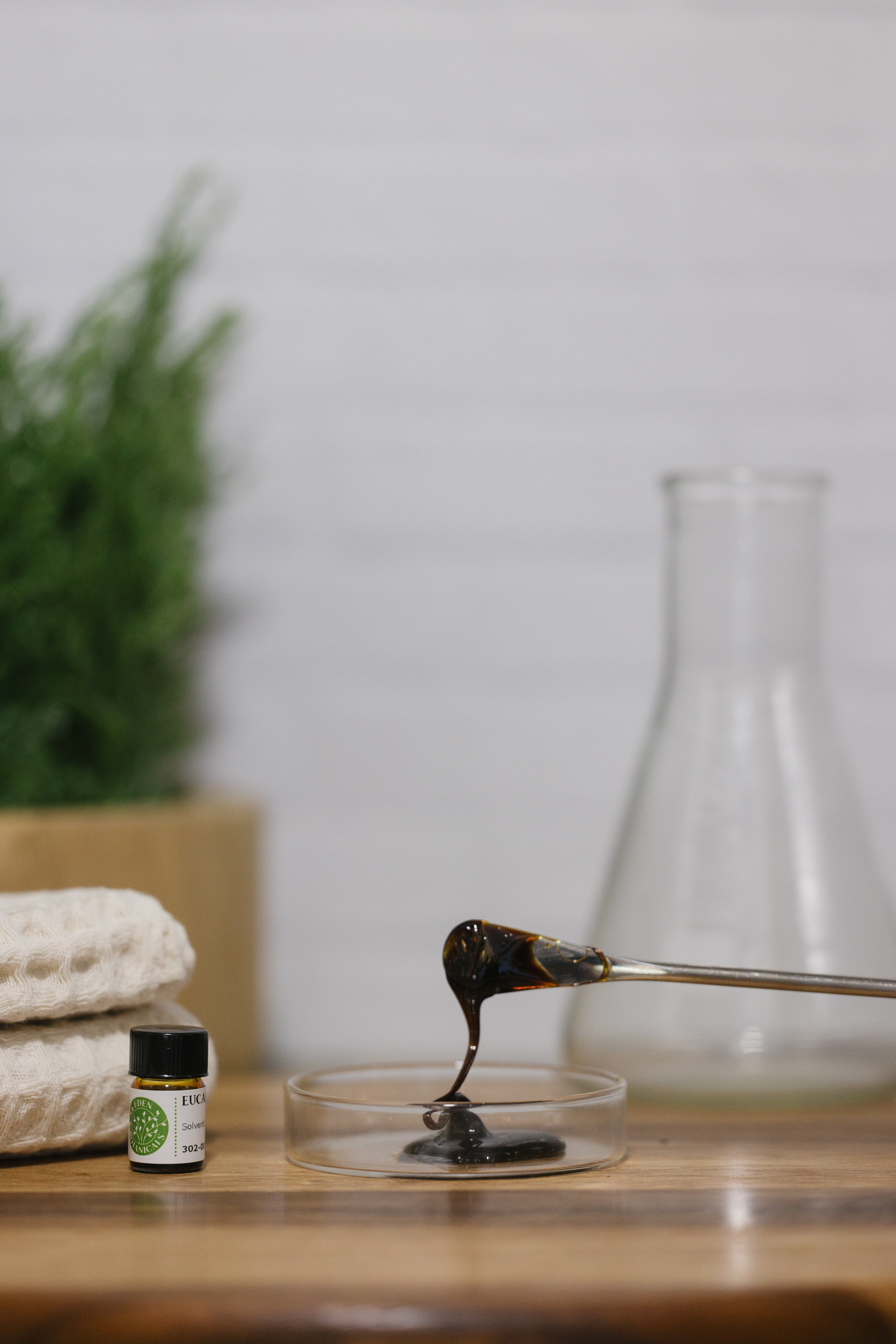 Eucalyptus By-Absolute | Eden Botanicals