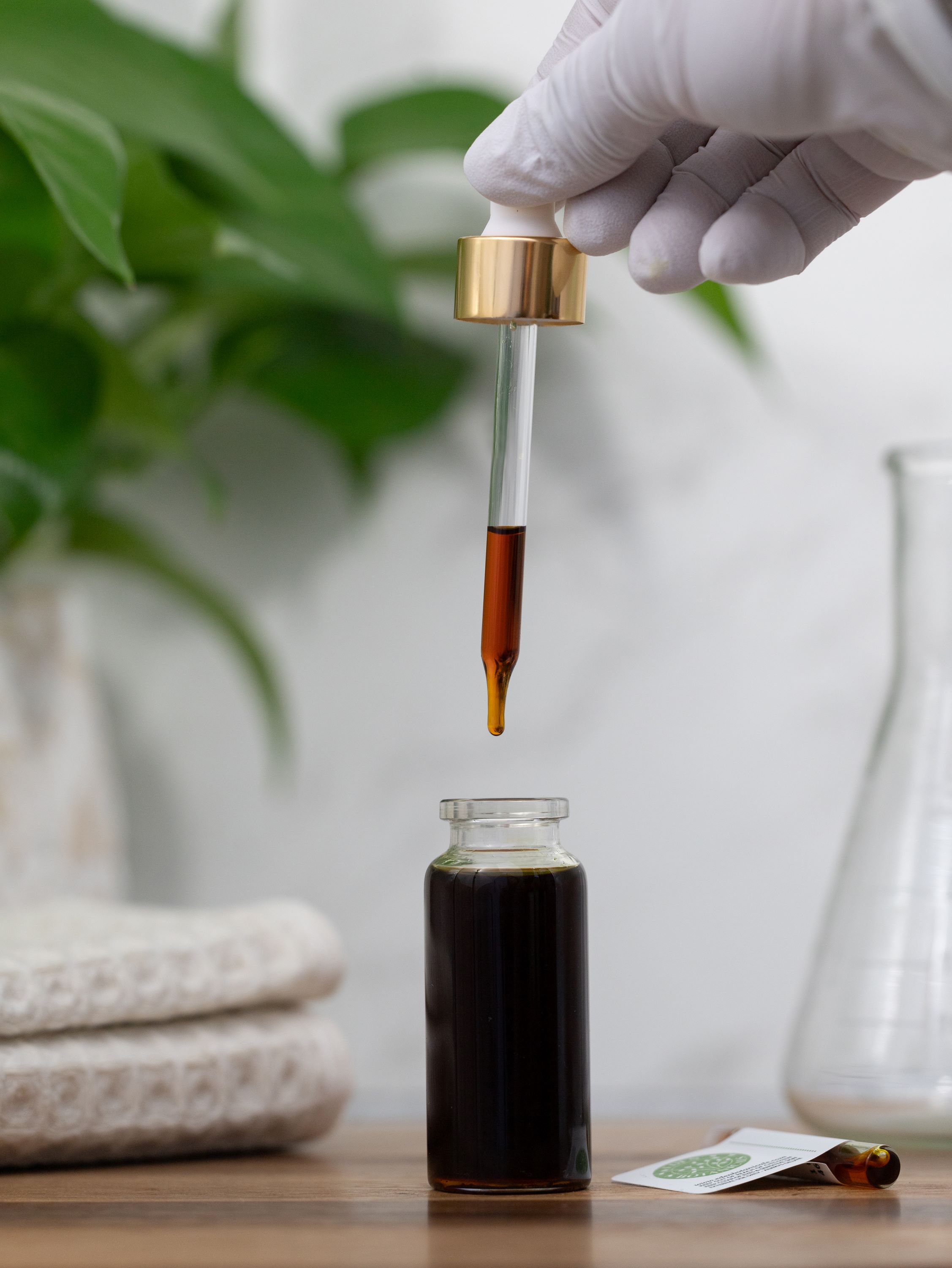 Jasmine Sambac Absolute | Eden Botanicals