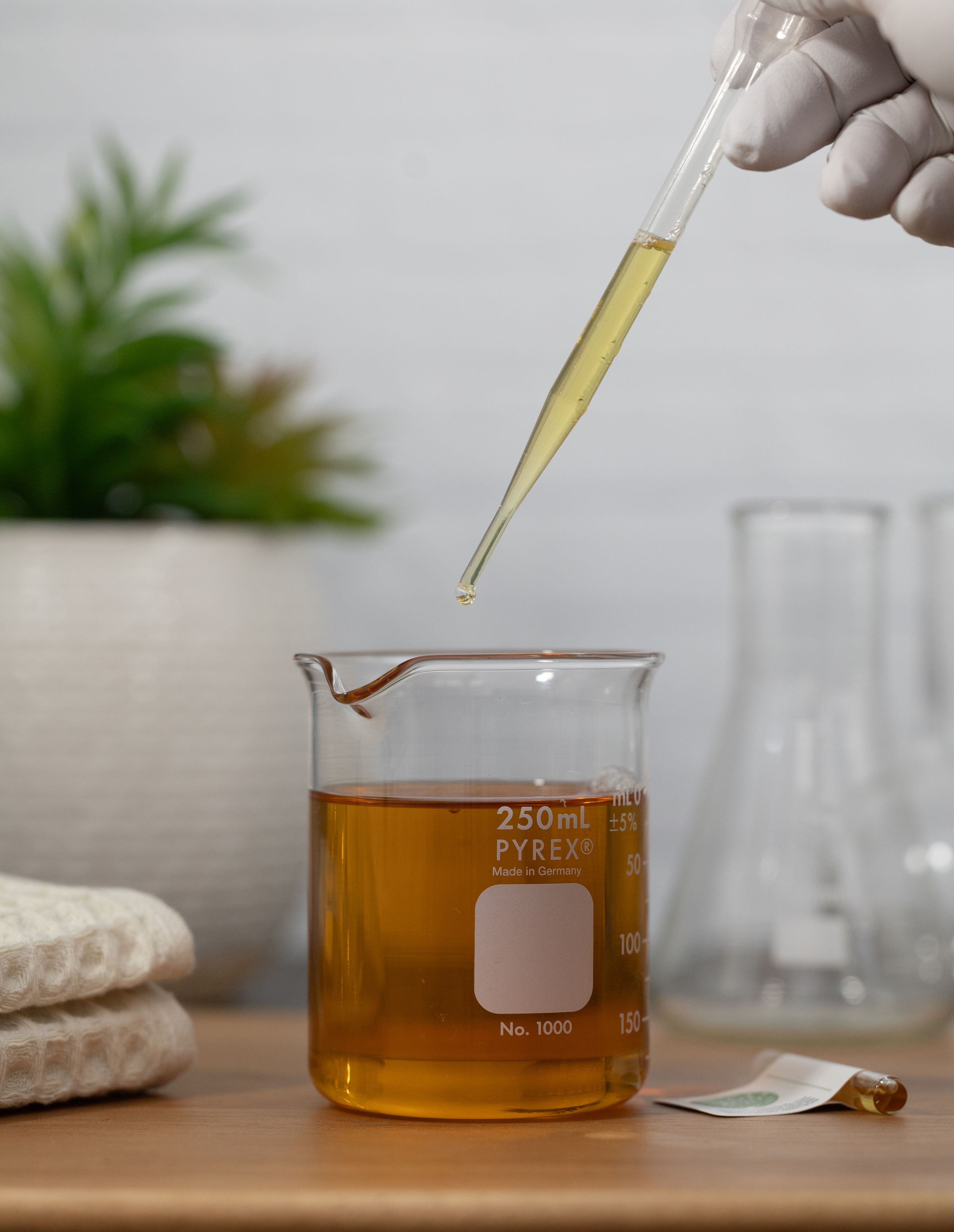 Sfuso olio di semi di sedano biologico di alta qualità all'ingrosso olio di colz