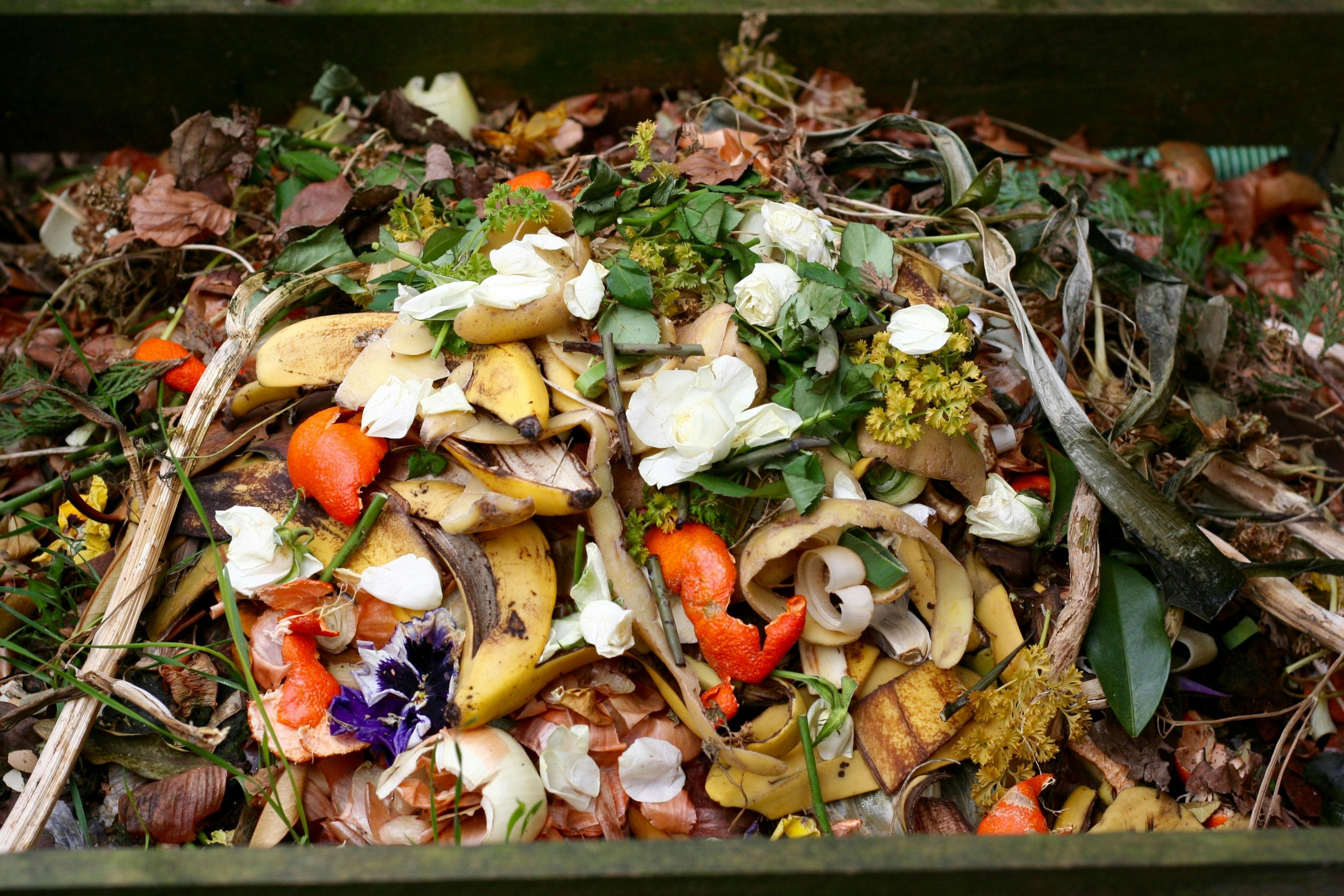 Pile of fruit and vegetable waste showcasing Australia's food waste crisis and the need for behaviour change.