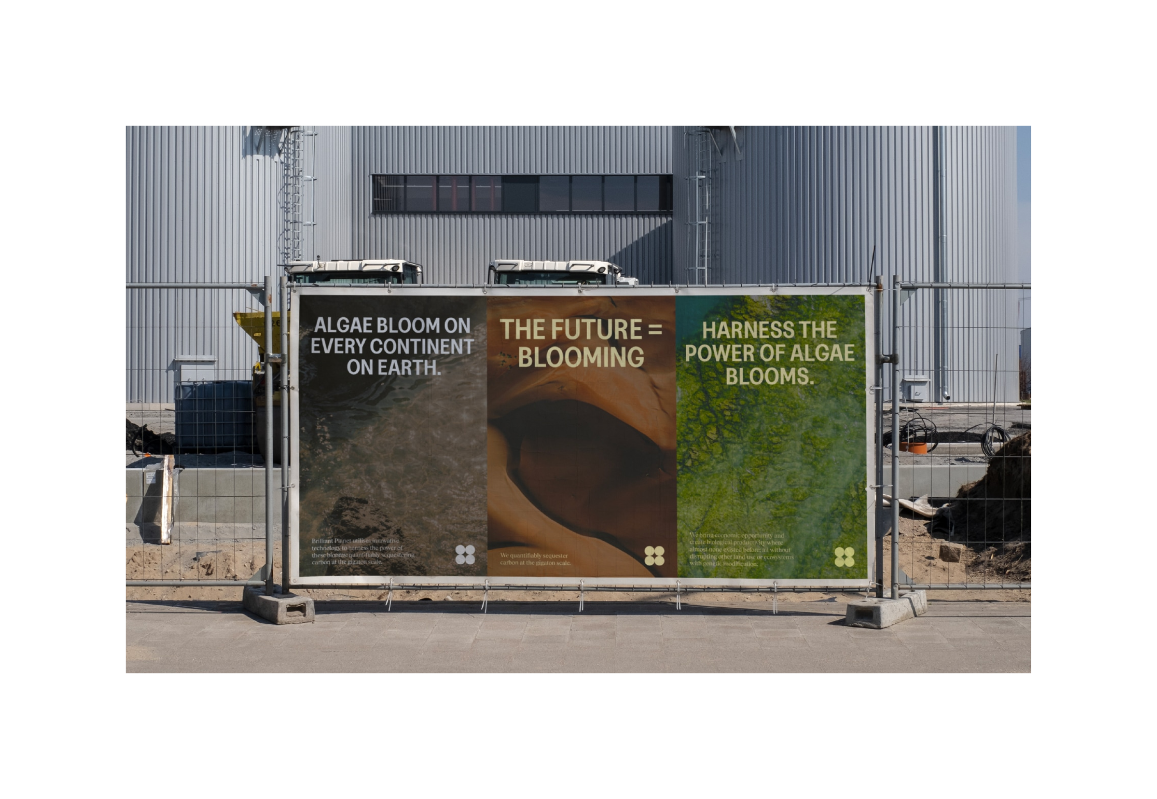 Brilliant Planet brings economic opportunity and create biological productivity where almost none existed before.