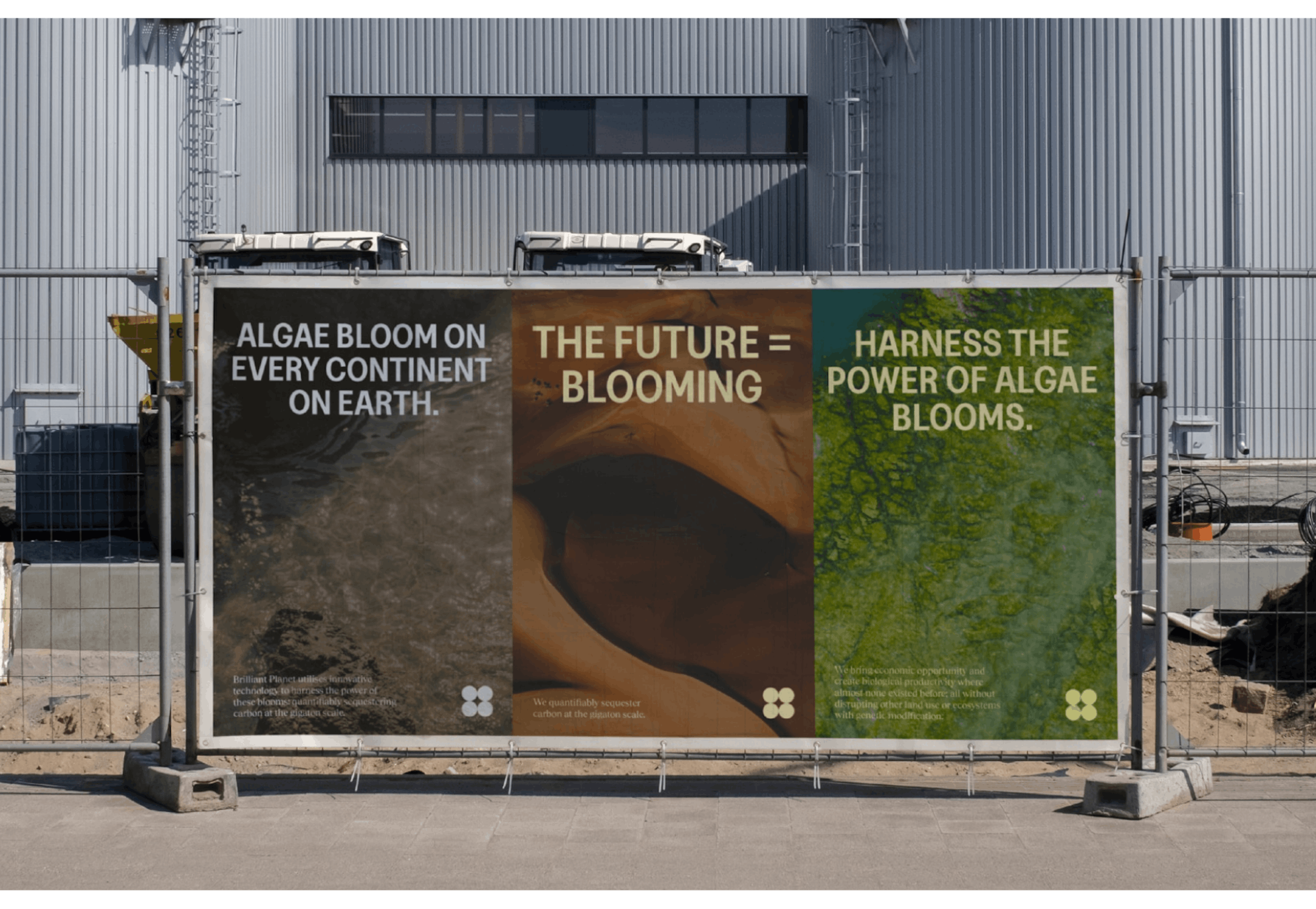 Brilliant Planet brings economic opportunity and create biological productivity where almost none existed before.