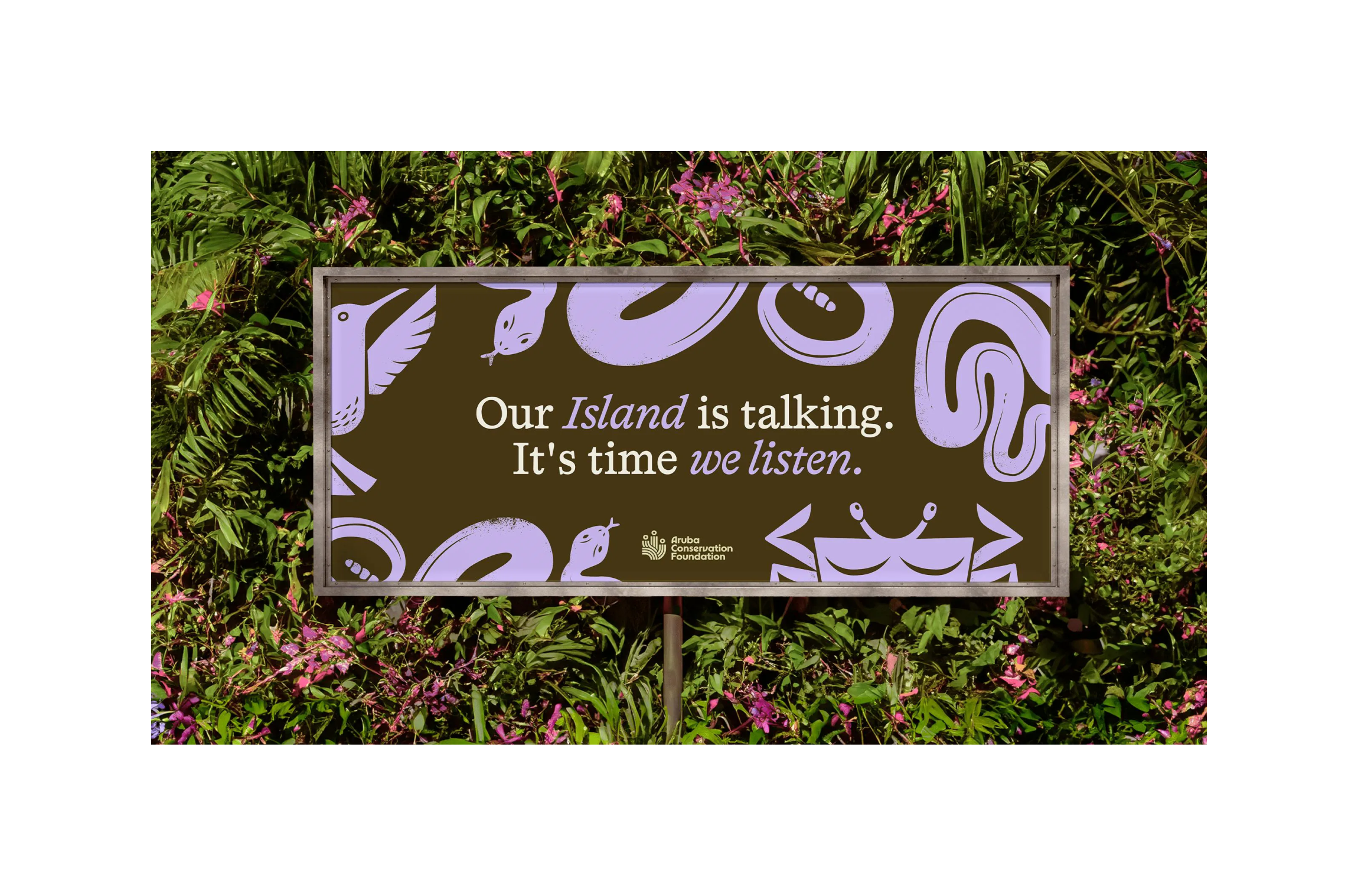 Aruba Conservation Foundation - Edge Impact's brand and comms insights