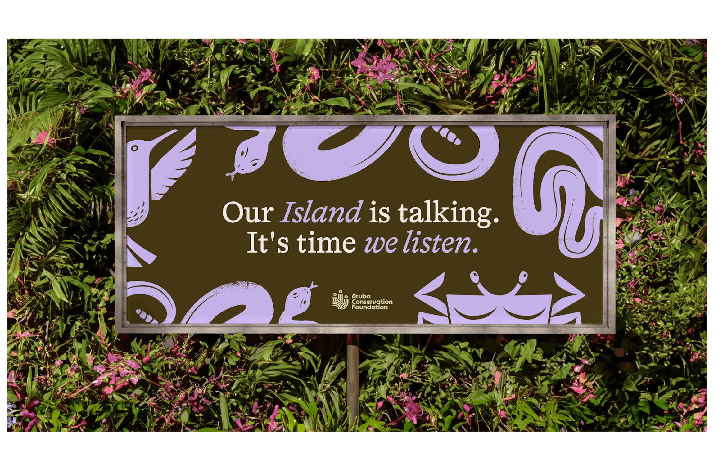Aruba Conservation Foundation - Edge Impact's brand and comms insights