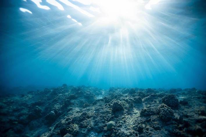 sun rays filtering underwater
