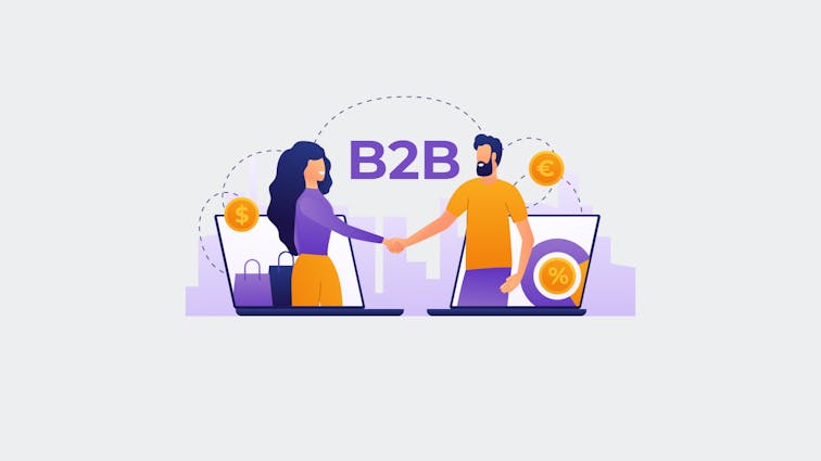 Use of B2B ecommerce Platforms