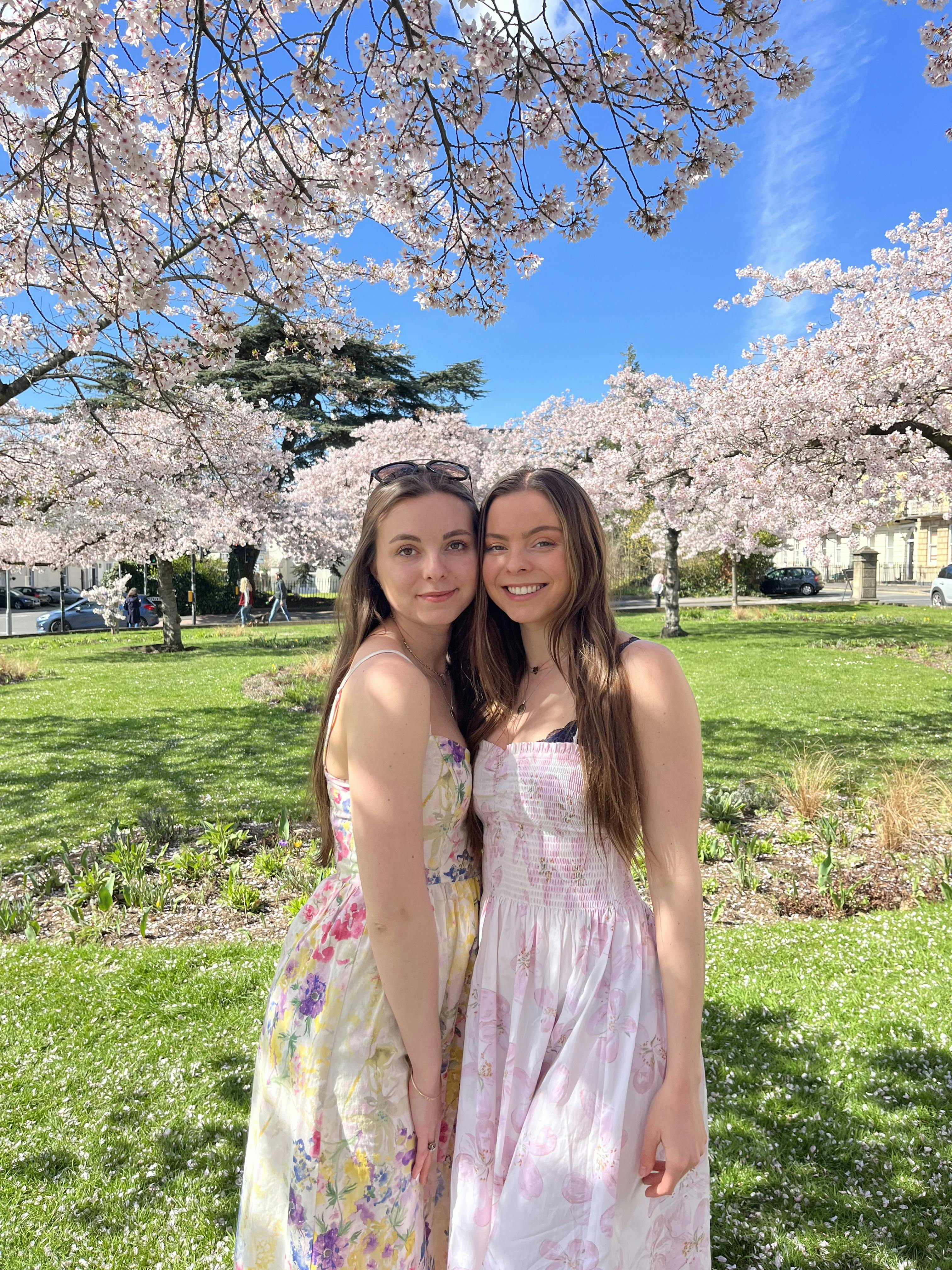 Two women standing under cherry blossom trees in a park.