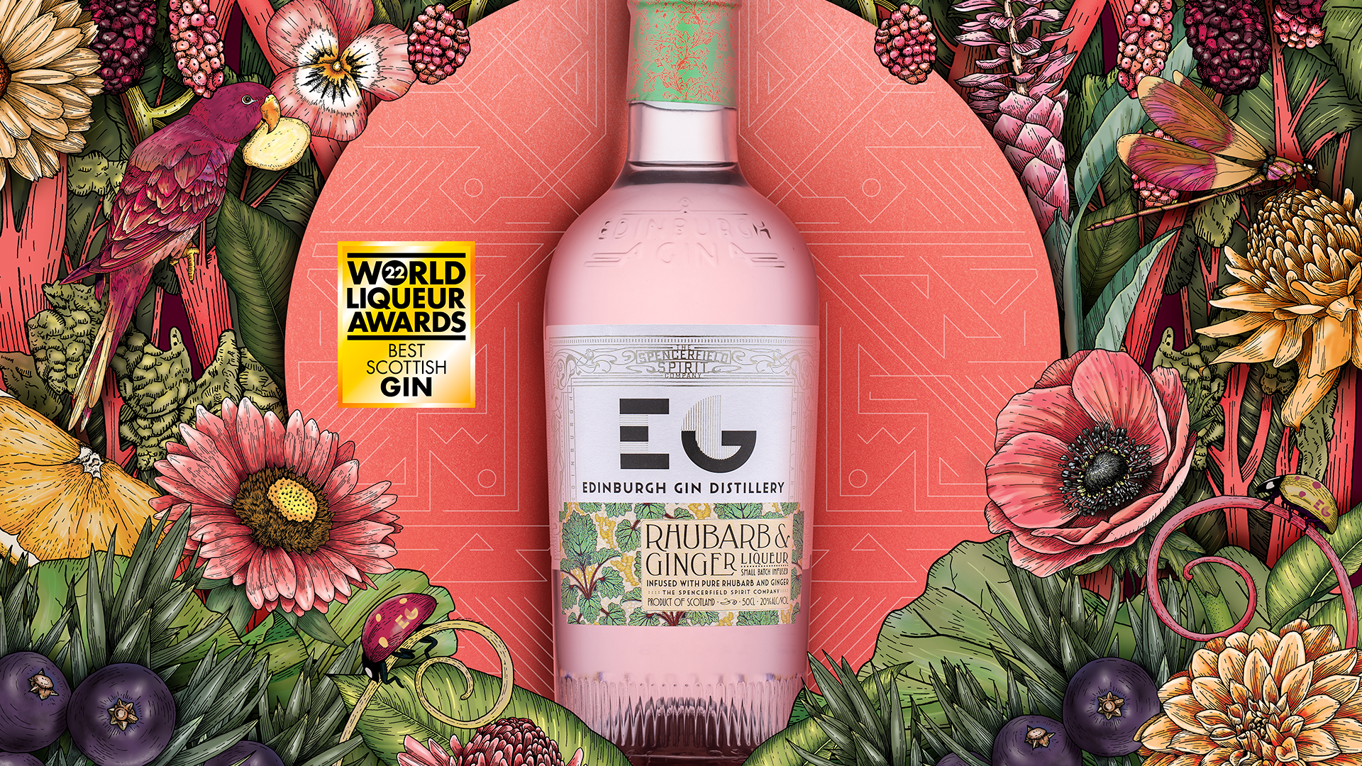 BEST SCOTTISH GIN LIQUEUR RHUBARB & GINGER Edinburgh Gin