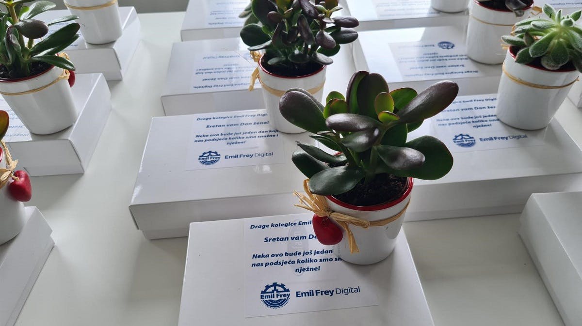 International Women's Day at EFD