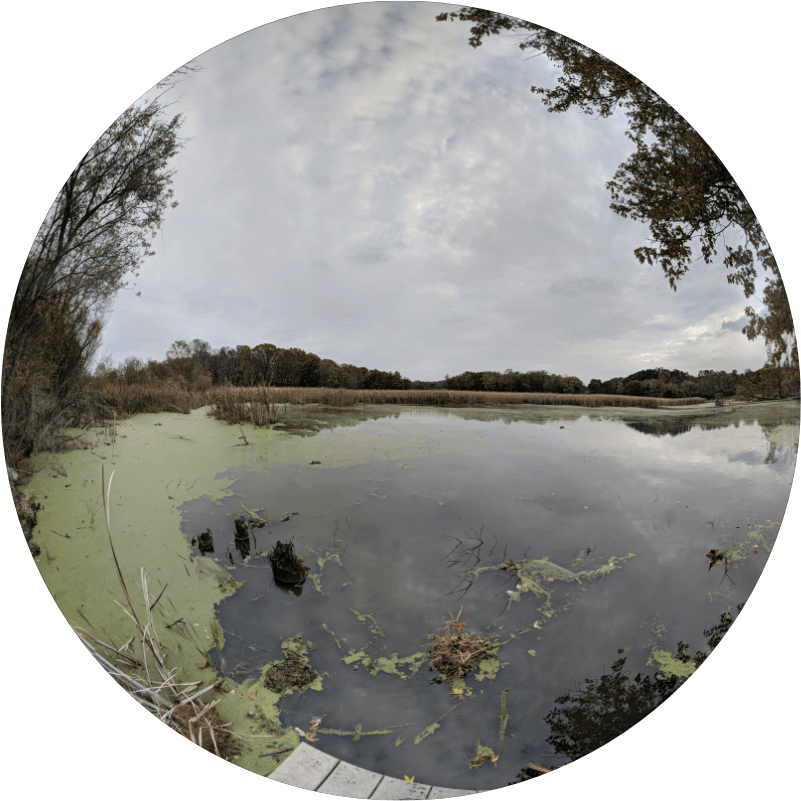 Lincoln Marsh circular photo