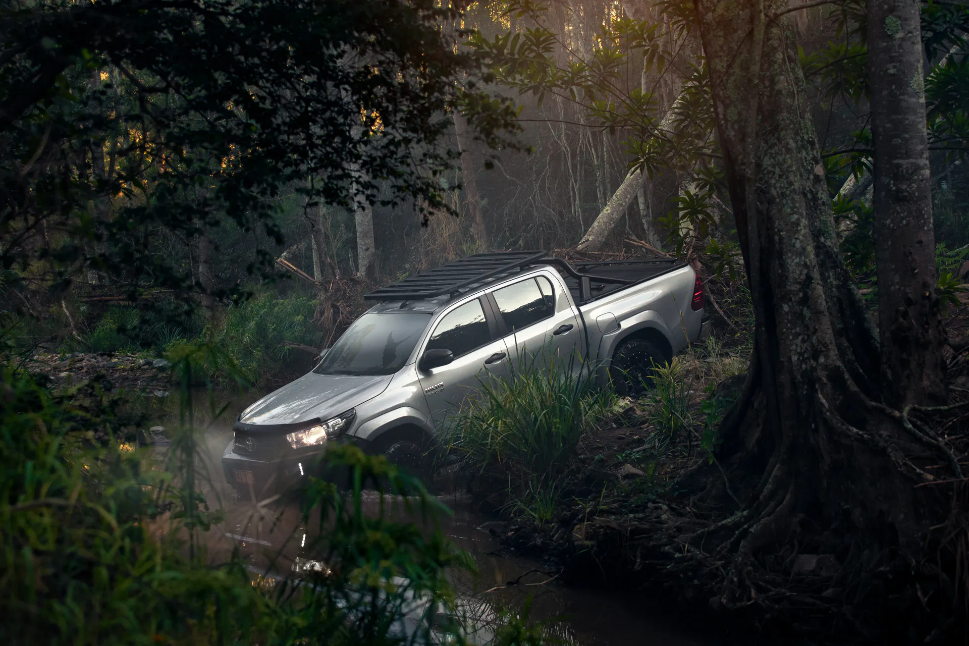 Ute traversing offroad through thick woodland.