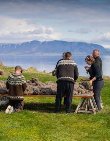 Icelandic eiderdown farmers sorting through the feathers