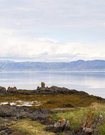 Icelandic eiderdown nesting sites