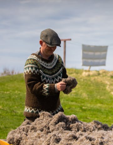 Icelandic eiderdown farmer