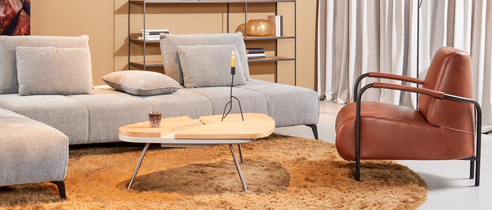 bruine fauteuils Eijerkamp