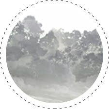 Wallcoverings Misty Forest