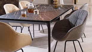 tips kiezen eetkamerstoelen Eijerkamp