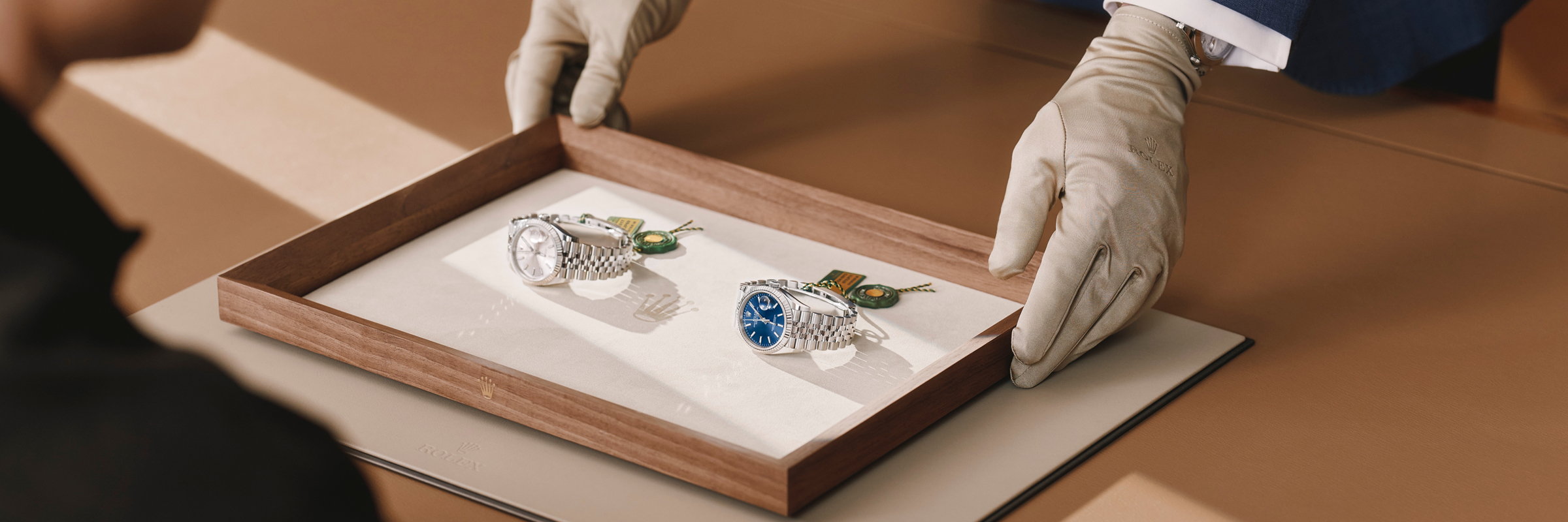 Rolex Explorer in Oystersteel, m226570-0001 | Eiseman Jewels