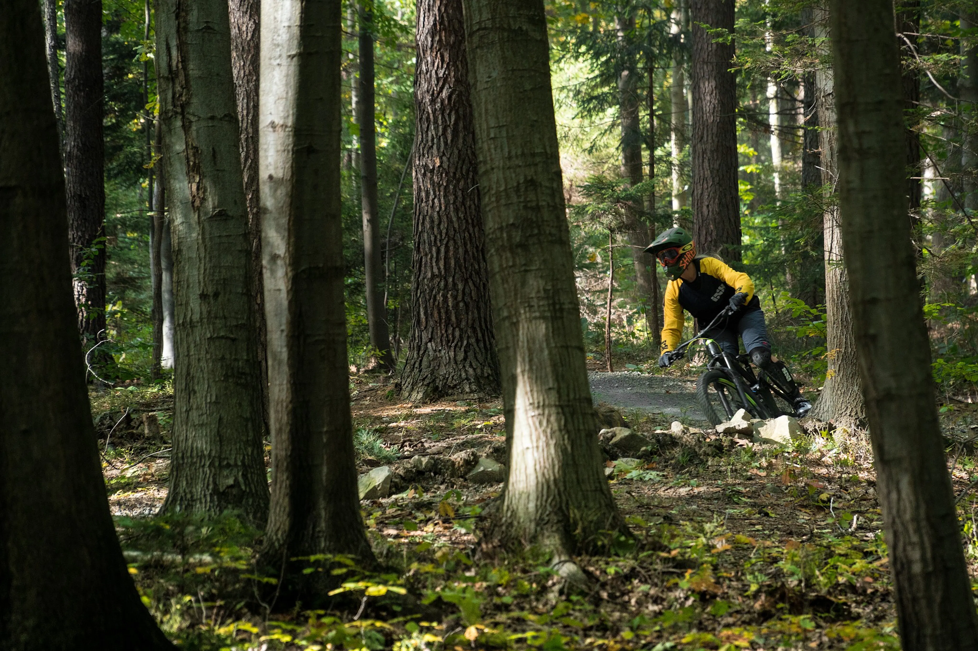 teaser bild